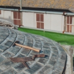 Plants: image 2 0f 4 thumb