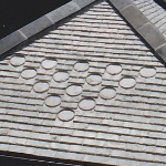 Plants: image 4 0f 4 thumb