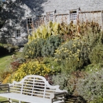 Plants: image 5 0f 5 thumb