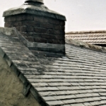 Plants: image 1 0f 4 thumb