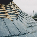 Plants: image 3 0f 4 thumb