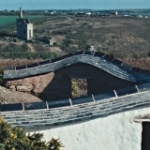 Plants: image 1 0f 4 thumb