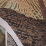 Plants: image 3 0f 4 thumb