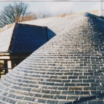 Plants: image 2 0f 4 thumb