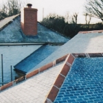 Plants: image 1 0f 4 thumb